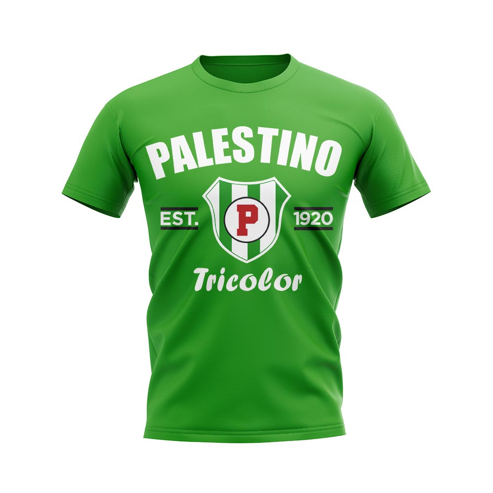 Palestino Established Football T-Shirt (Green)