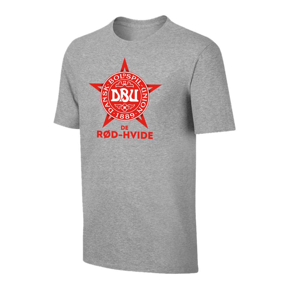 Denmark Euro 2020 T-Shirt - Grey