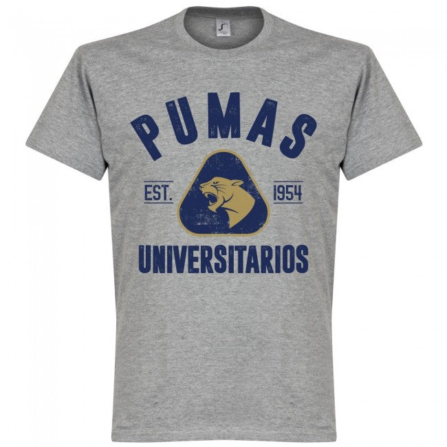 Pumas Established Kids T-shirt - Grey Marl