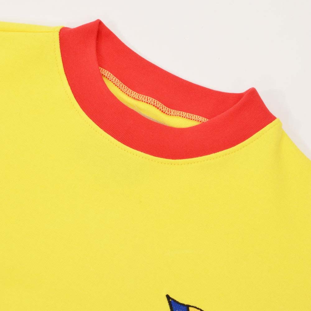 Romania 1960s Retro Football Shirt