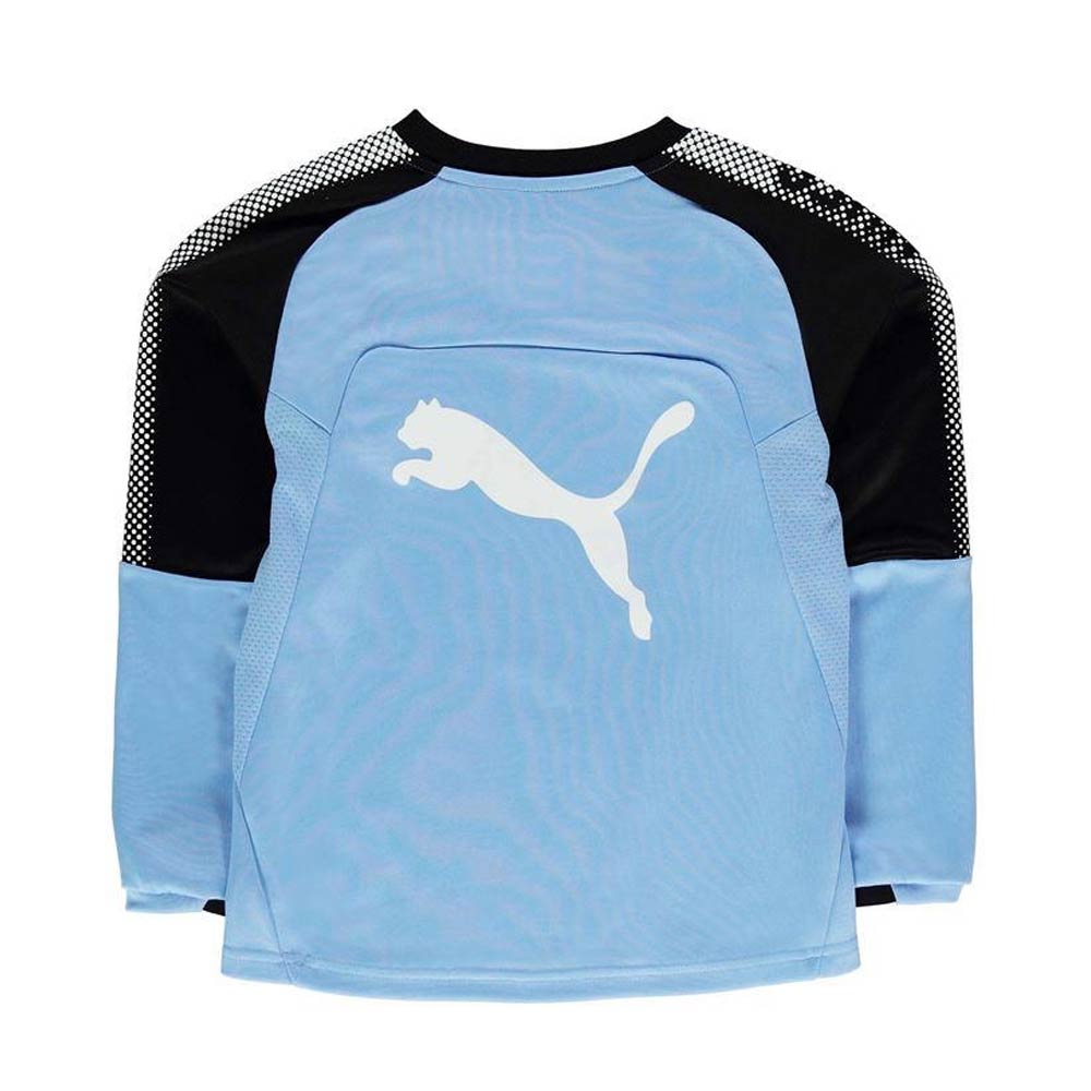 2017-2018 Newcastle Puma Sweat Top (Blue) - Kids