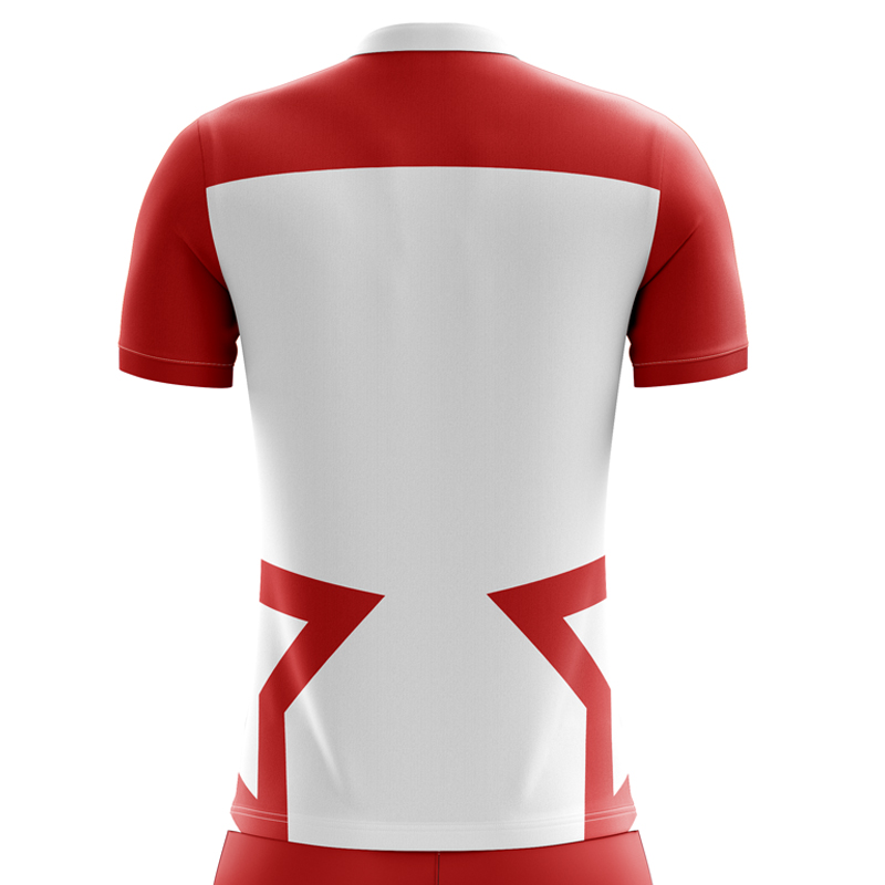 2024-2025 Tunisia Home Concept Football Shirt