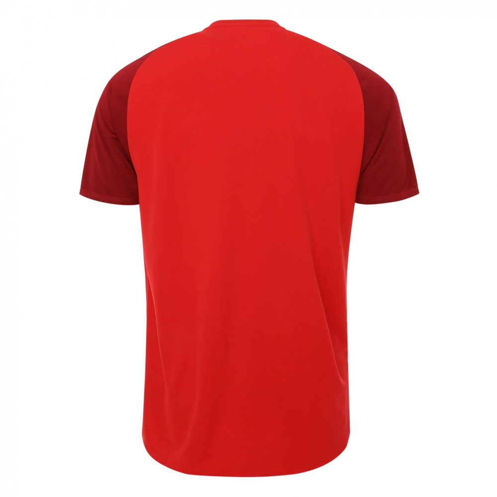 2018-2019 Liverpool Training Shirt (Red)