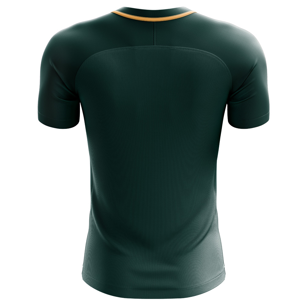 2024-2025 Nigeria Third Concept Football Shirt (Kanu 4)