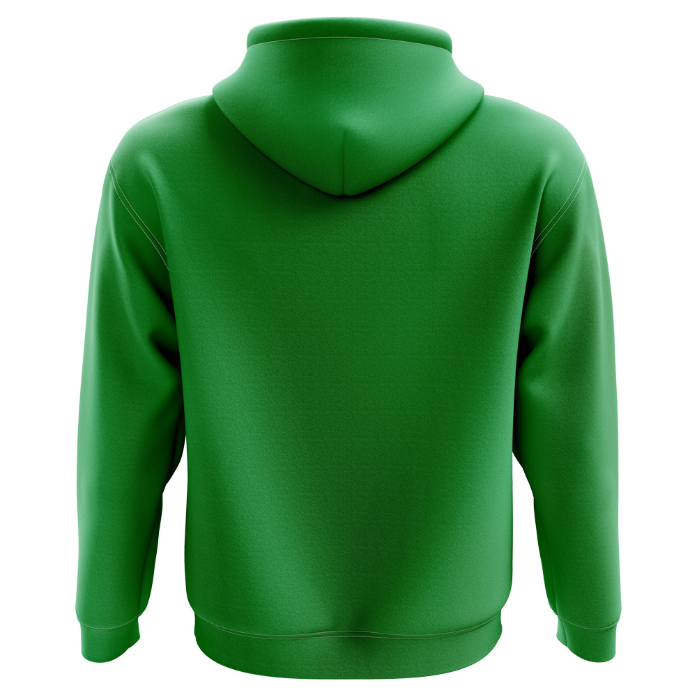 2024-2025 Cameroon Home Concept Hoody