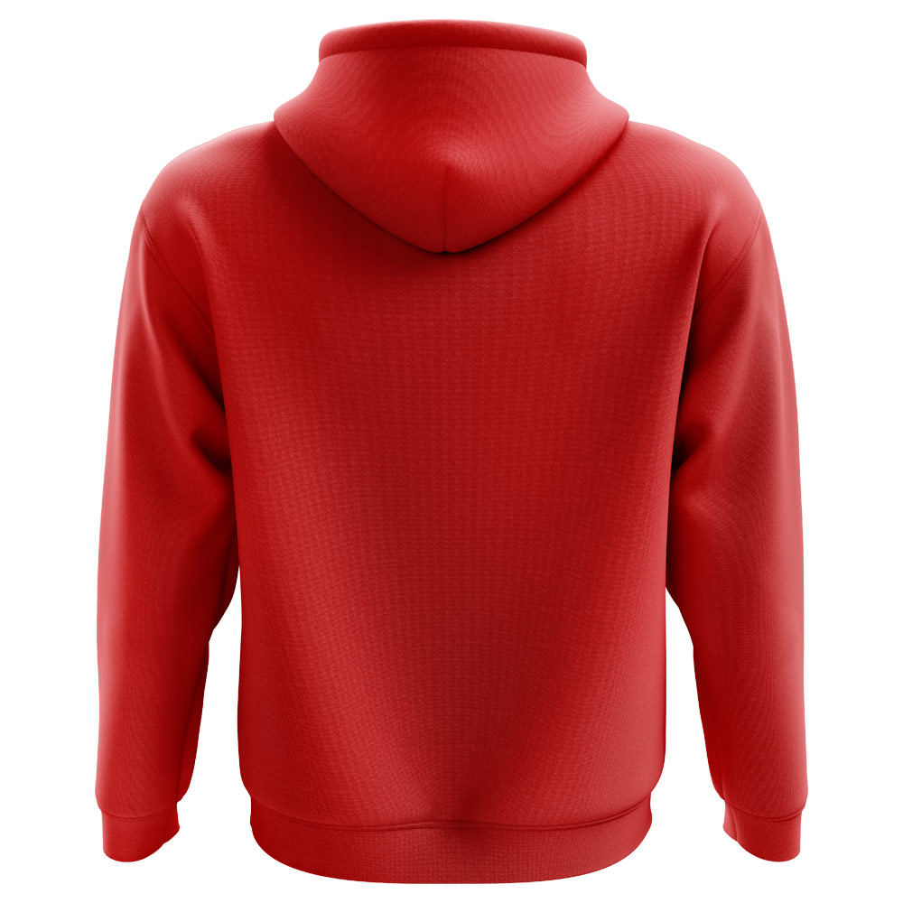 2024-2025 Denmark Home Concept Hoody (Kids)