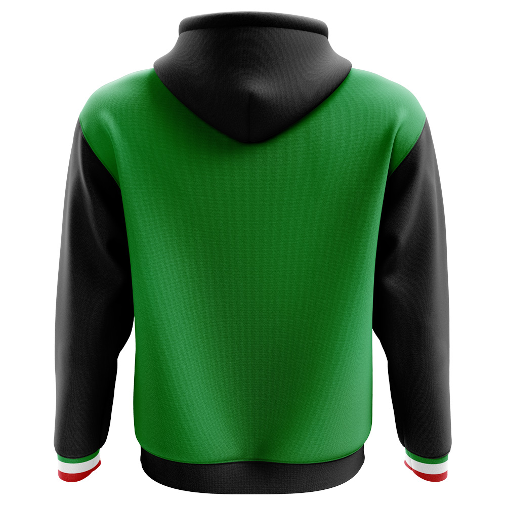 2024-2025 Mexico Home Concept Football Hoody (Kids)