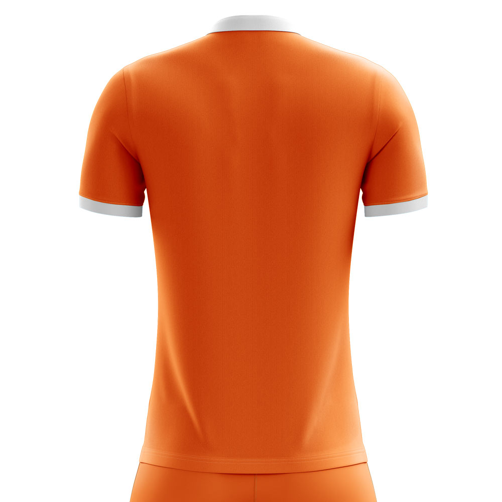 2024-2025 Ivory Coast Home Concept Football Shirt (Toure 4)