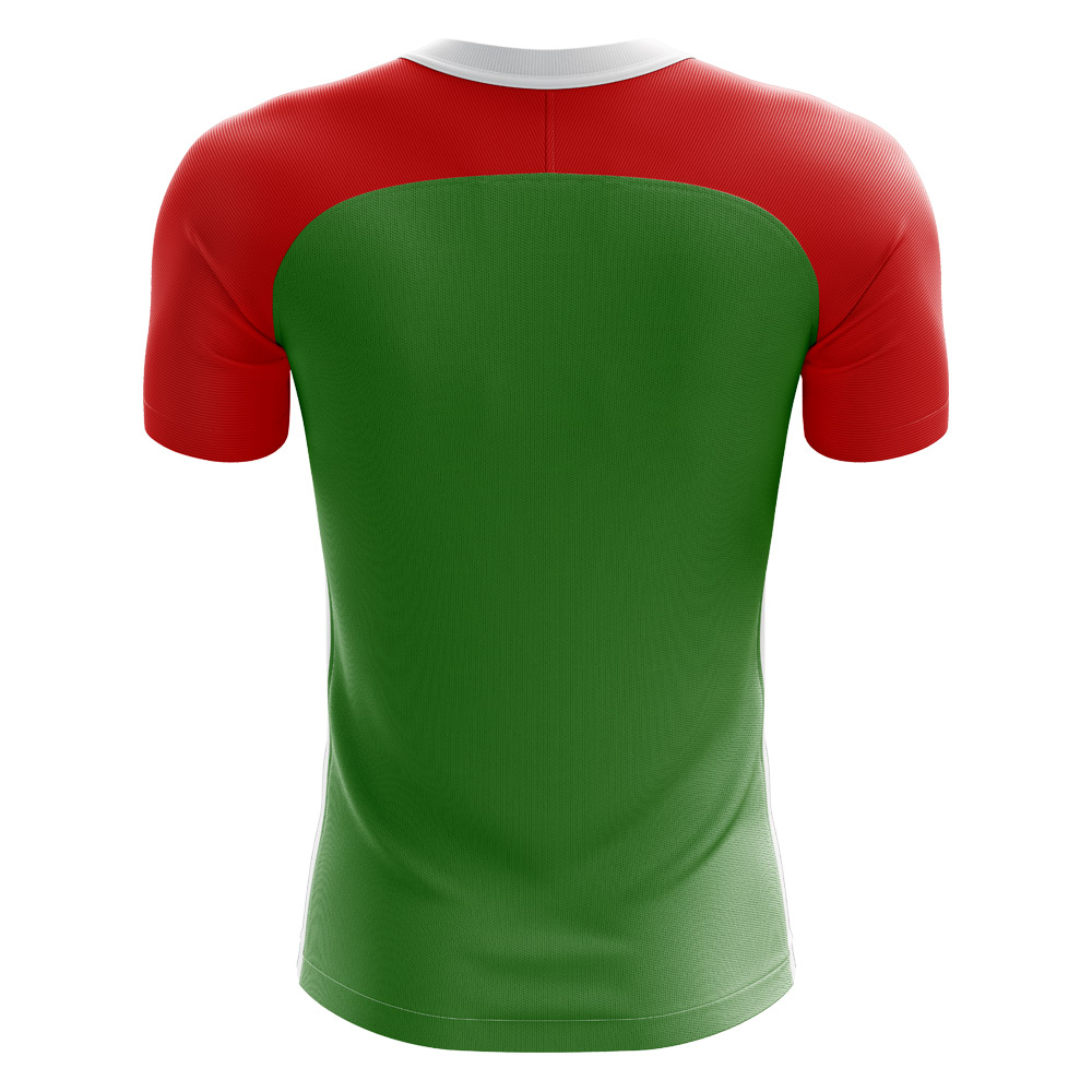 2024-2025 Abkhazia Home Concept Football Shirt