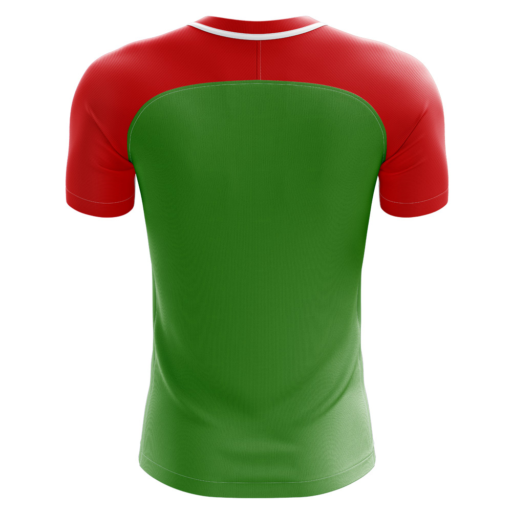 2024-2025 Chechnya Home Concept Football Shirt - Womens