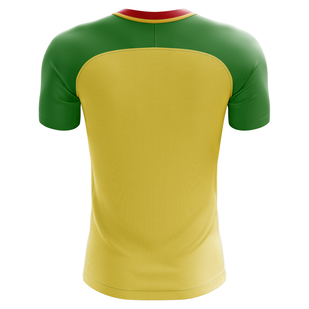 2024-2025 Republic of Congo Home Concept Football Shirt