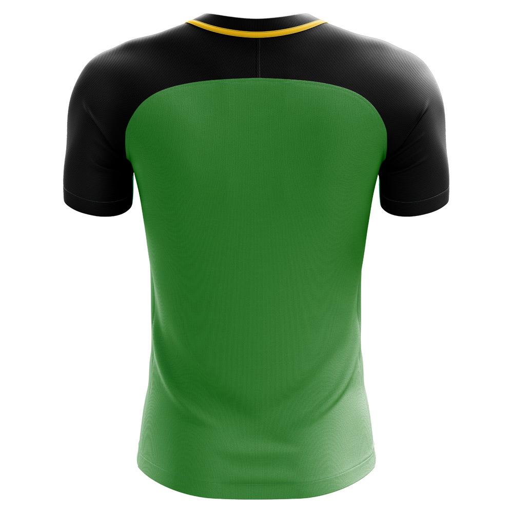 2024-2025 Guyana Home Concept Football Shirt