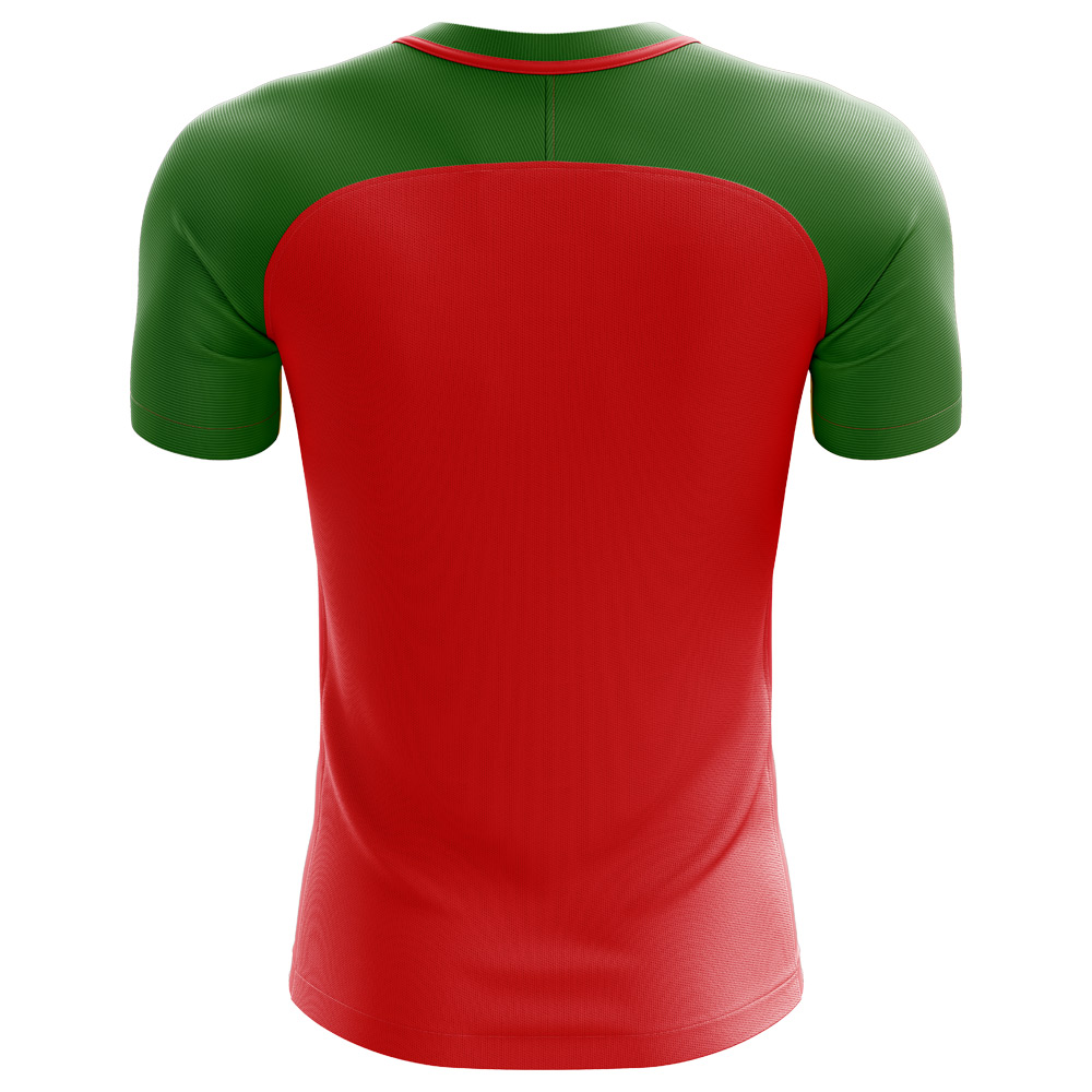 2024-2025 Karelia Home Concept Football Shirt