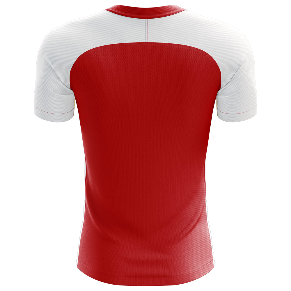 2024-2025 Tunisia Flag Concept Football Shirt