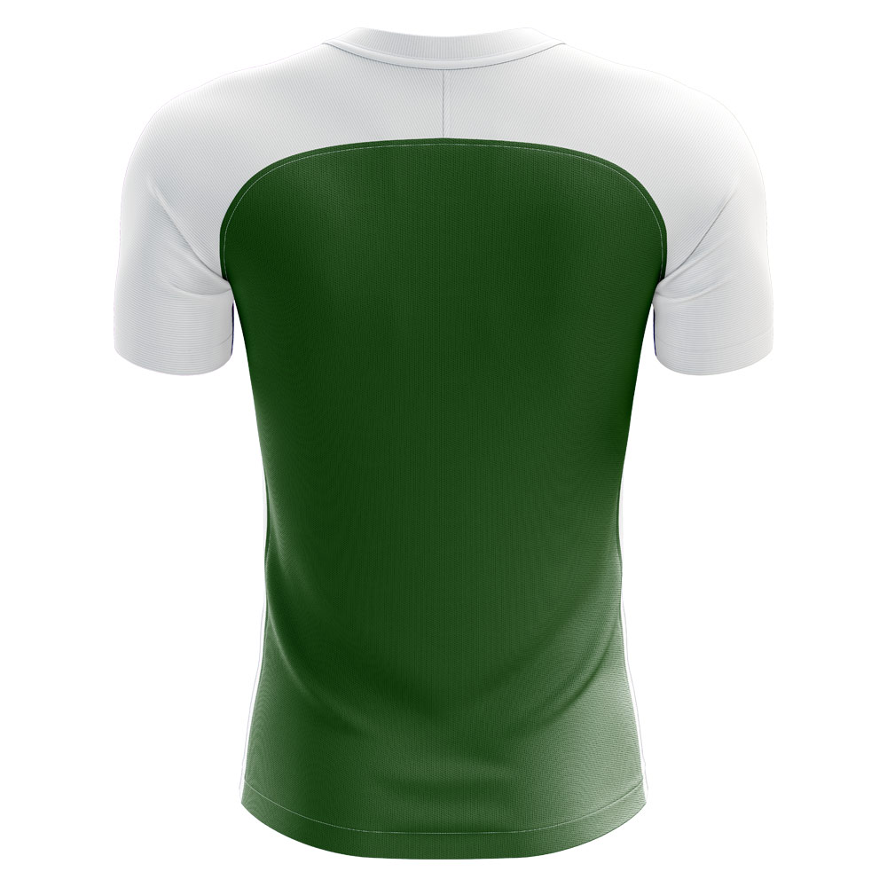 2024-2025 Pakistan Home Concept Football Shirt