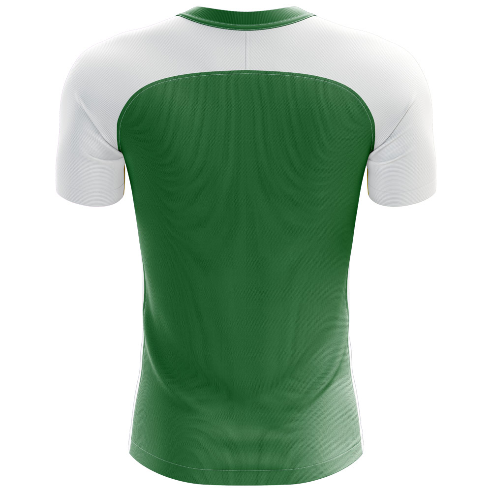 2024-2025 Nigeria Flag Home Concept Football Shirt