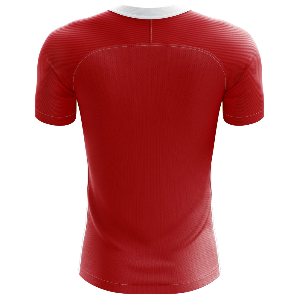 2024-2025 Denmark Flag Concept Football Shirt (Dolberg 25)