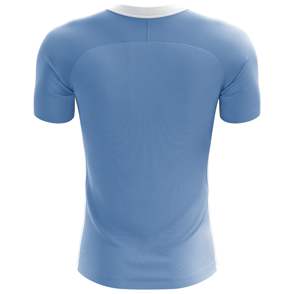 2024-2025 Argentina Flag Concept Football Shirt (Your Name)