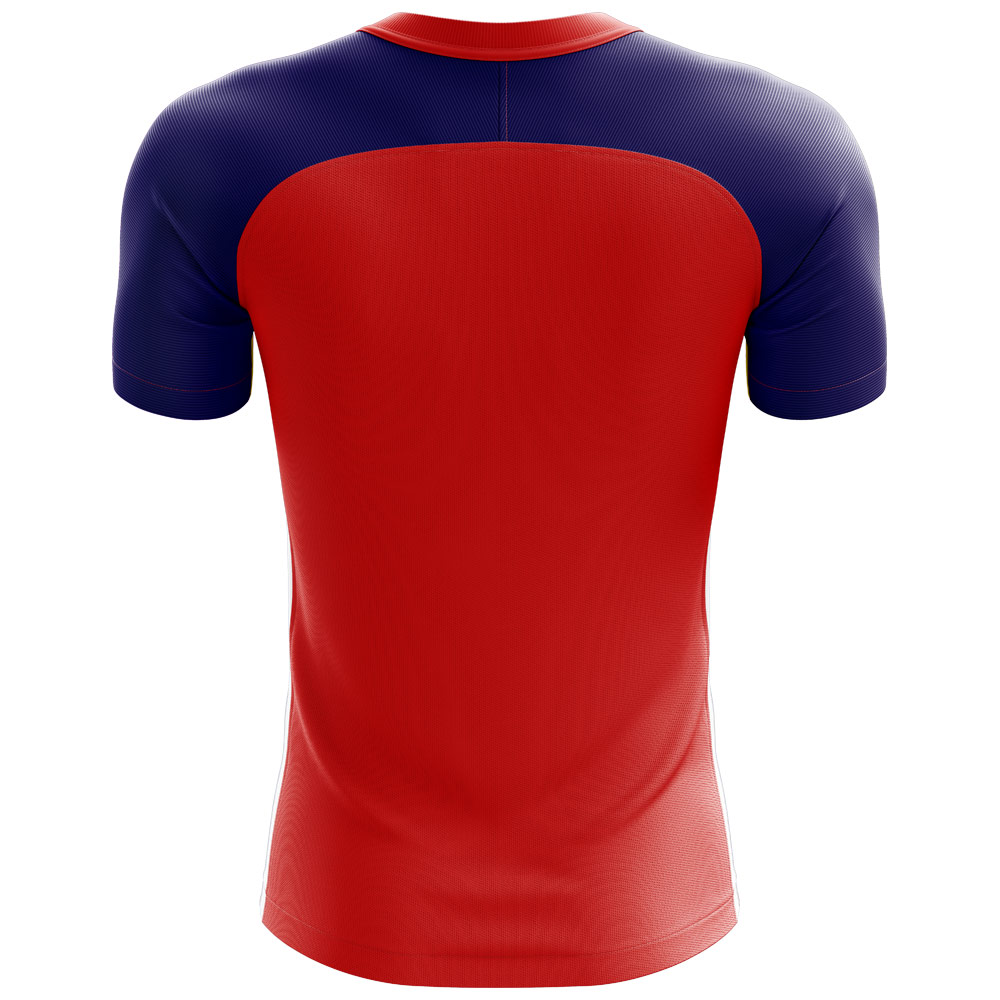 2024-2025 Tibet Home Concept Football Shirt