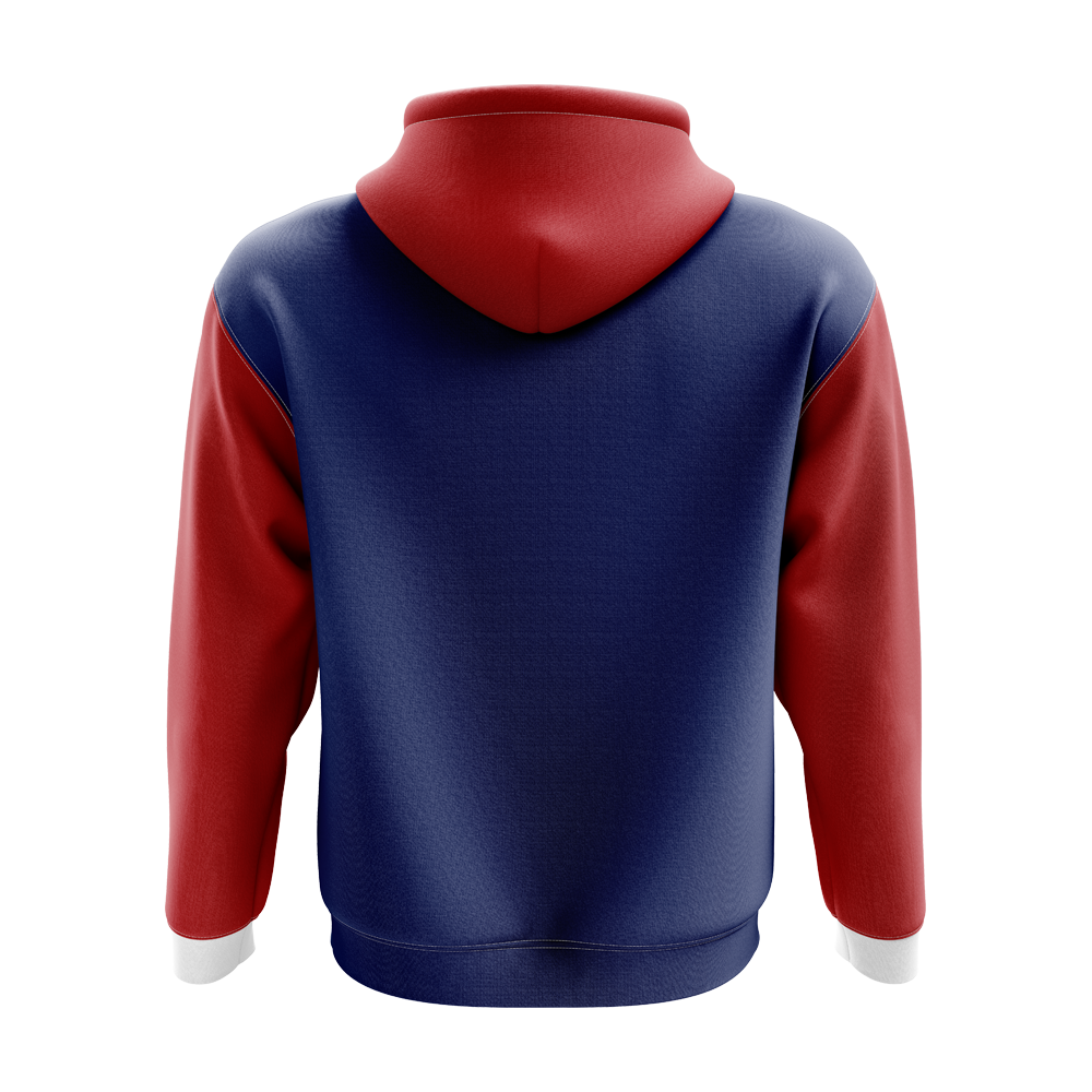 Czech Republic Concept Country Football Hoody (Navy)