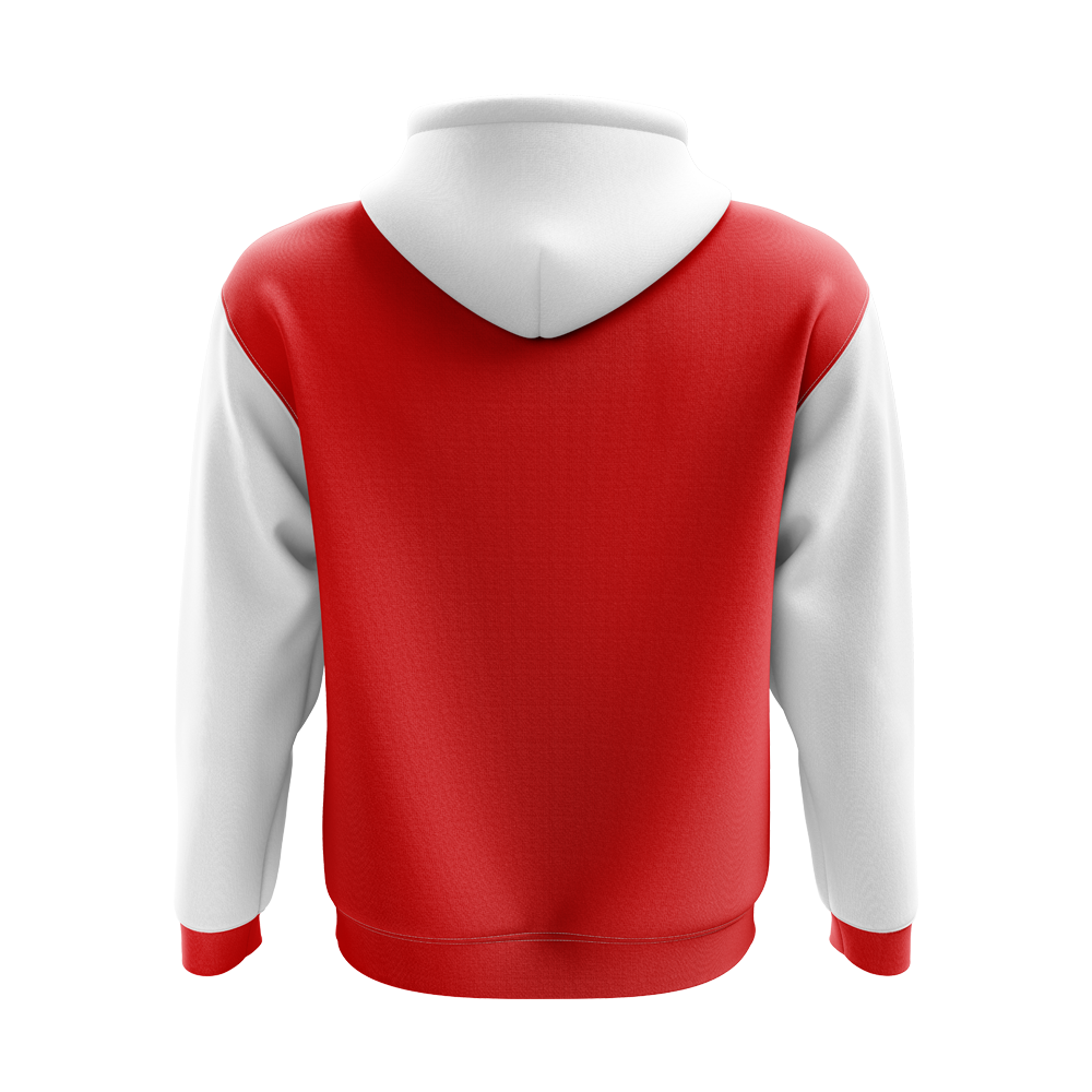 Denmark Concept Country Football Hoody (Red)