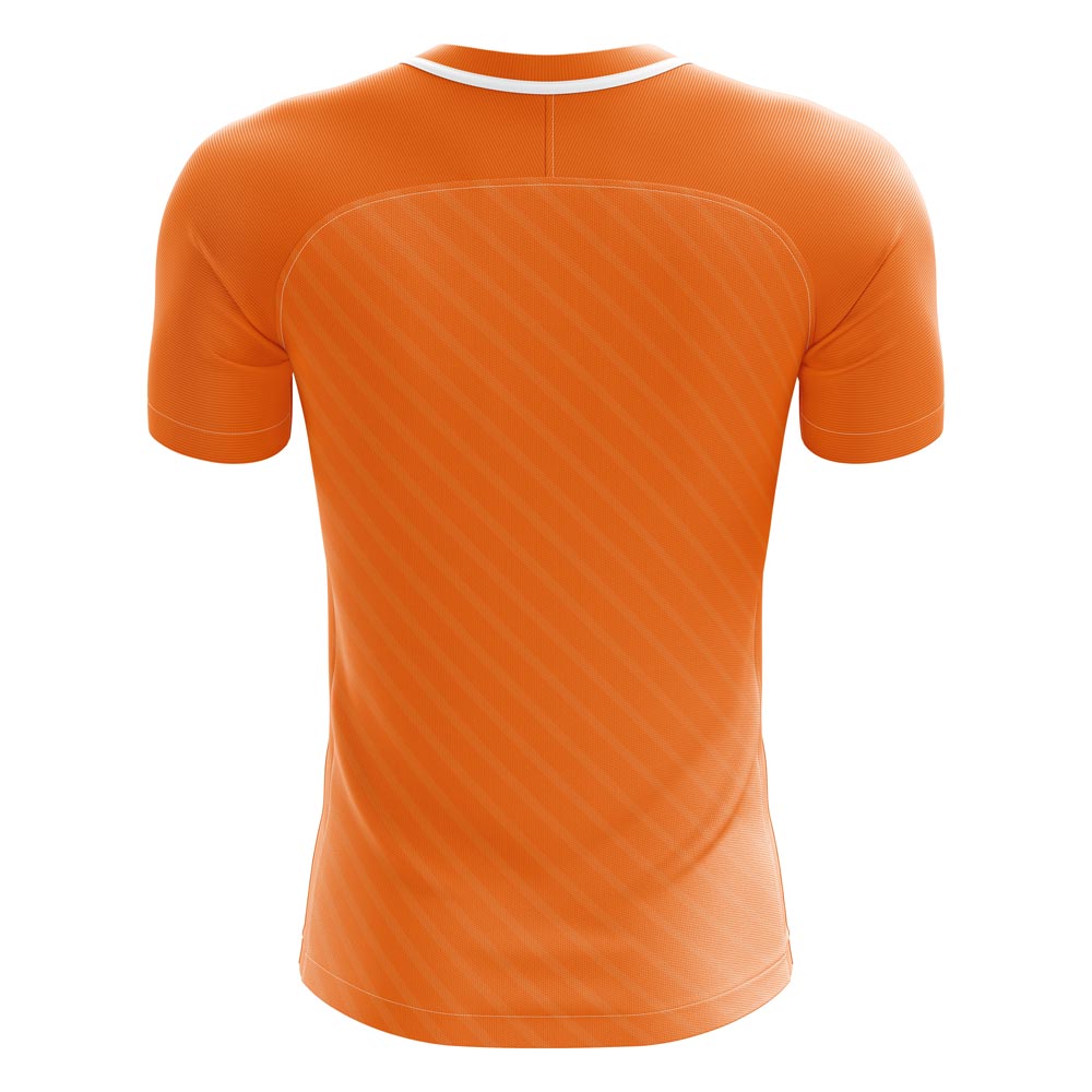 2024-2025 Houston Home Concept Football Shirt