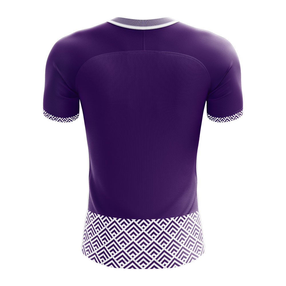 2024-2025 Toulouse Home Concept Football Shirt