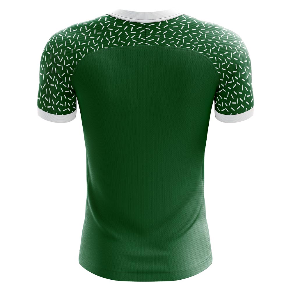 2024-2025 Chapecoense Home Concept Football Shirt