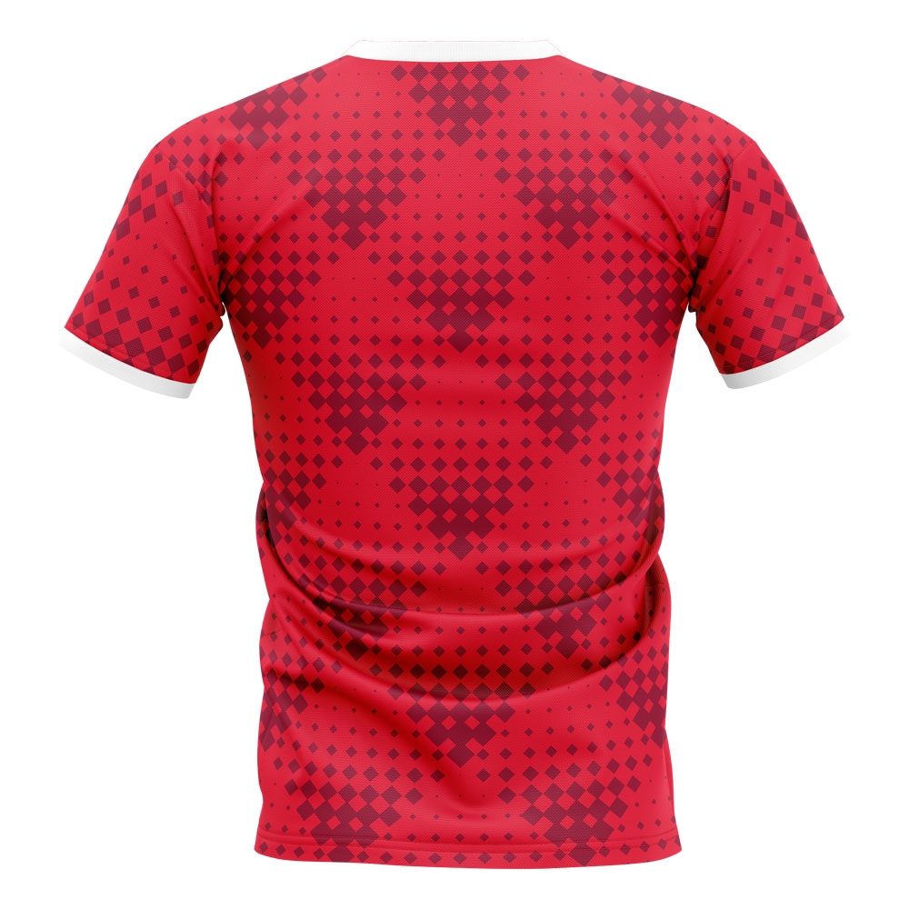 2024-2025 Urawa Red Diamonds Home Concept Football Shirt