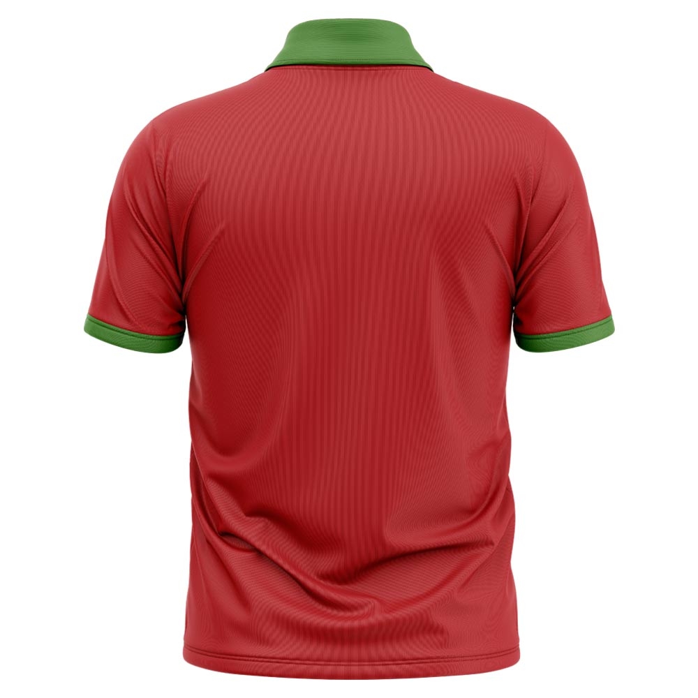 2024-2025 Zimbabwe Cricket Concept Shirt