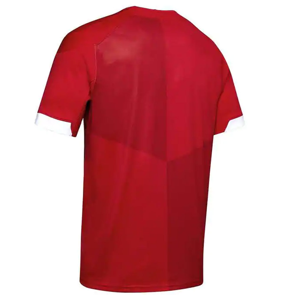 Wales Rugby RWC 2019 Home Shirt (Kids)