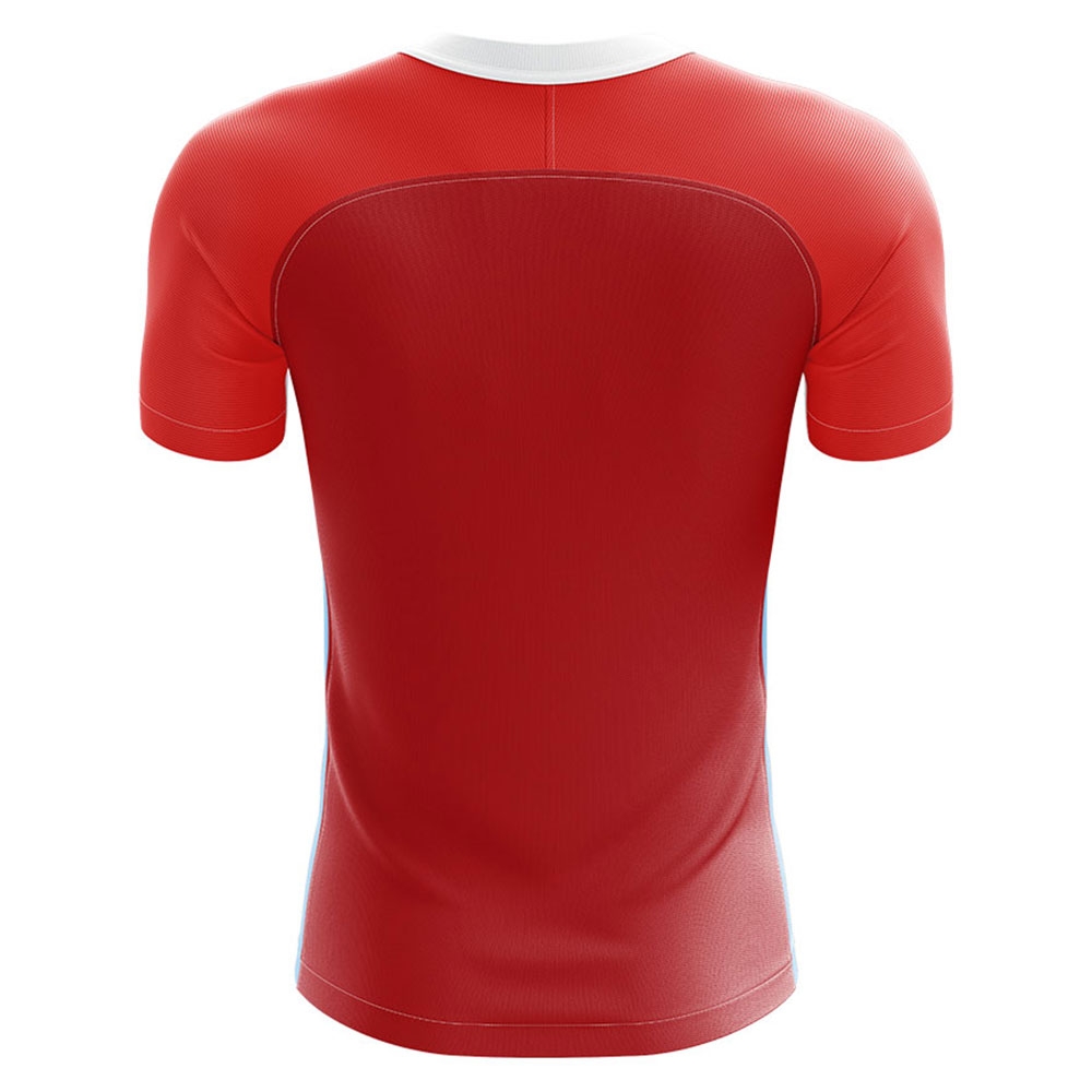 2024-2025 Austria Home Concept Football Shirt (DRAGOVIC 3)