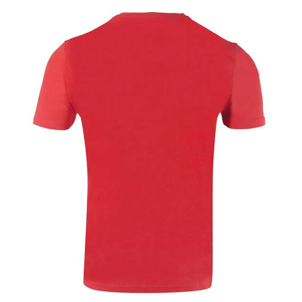 Wales 2021 Polyester T-Shirt (Red) (RUSH 9)