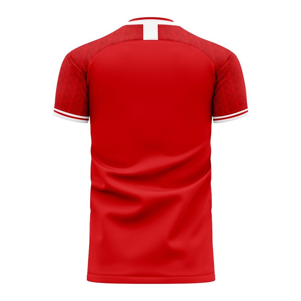 Al Ahly 2025-2026 Home Concept Football Kit (Libero)