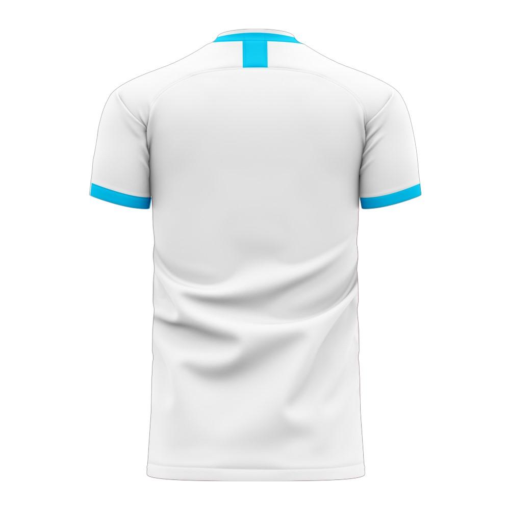 Argentina 2024-2025 Home Concept Football Kit (Libero) (MESSI 10)