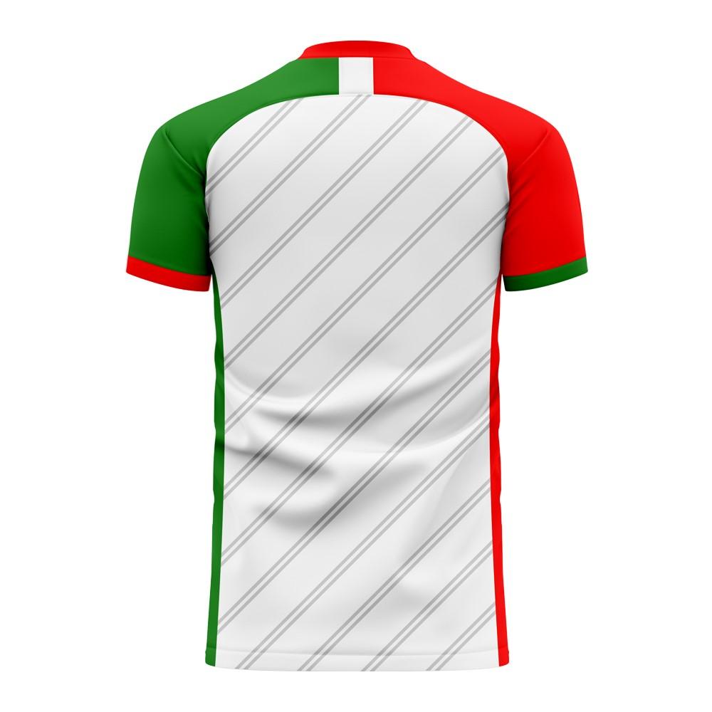 Belarus 2024-2025 Home Concept Football Kit (Libero)