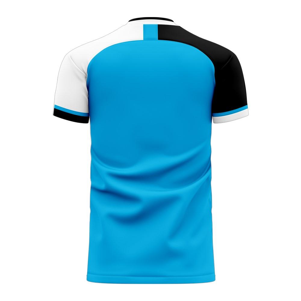 Botswana 2024-2025 Home Concept Football Kit (Libero) - Womens