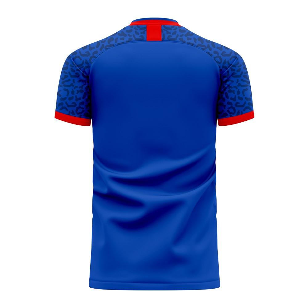 Republic of Congo 2024-2025 Home Concept Shirt (Libero) - Womens