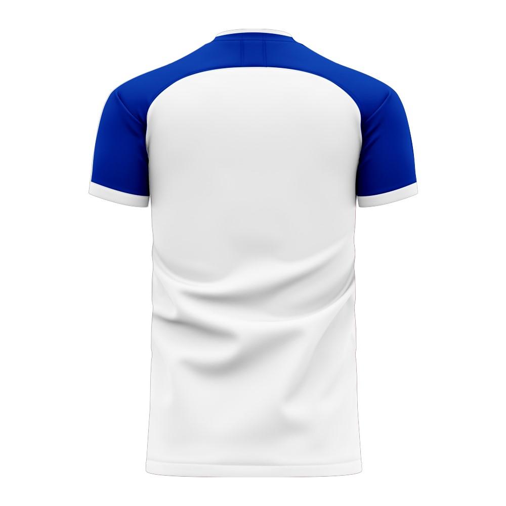 Dynamo Kyiv 2024-2025 Home Concept Football Kit (Libero) (DE PENA 14)