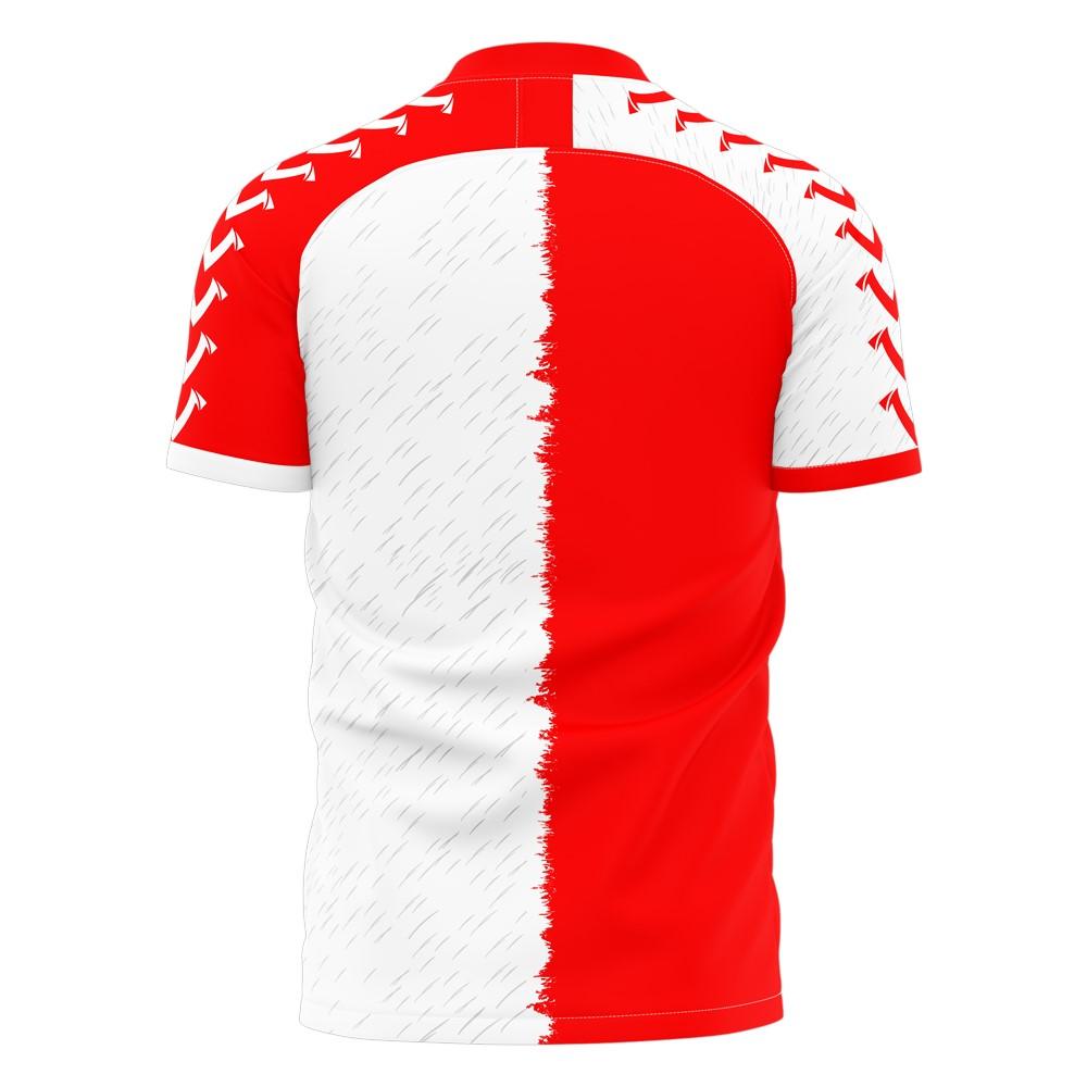 Feyenoord 2024-2025 Home Concept Shirt (Viper) (BERGHUIS 10)