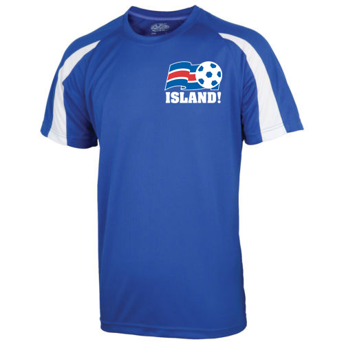 2016-17 Iceland Sports Training Jersey (Gudjohnsen 22)