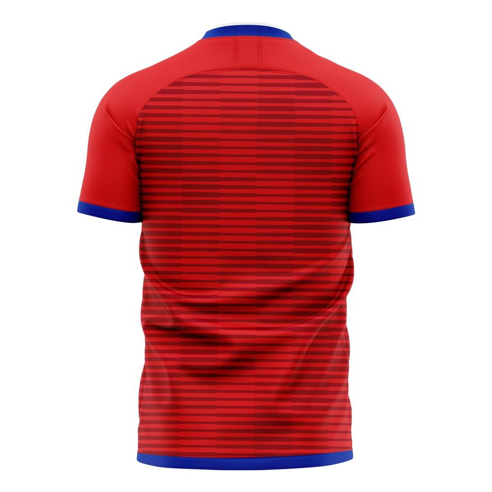 South Korea 2024-2025 Home Concept Football Kit (Libero) (H M SON 7)