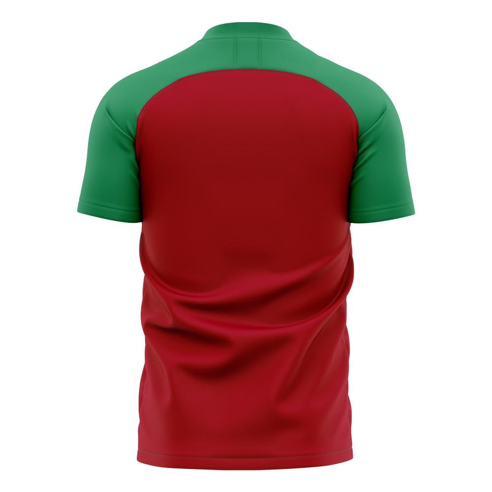 Morocco 2024-2025 Home Concept Football Kit (Libero)