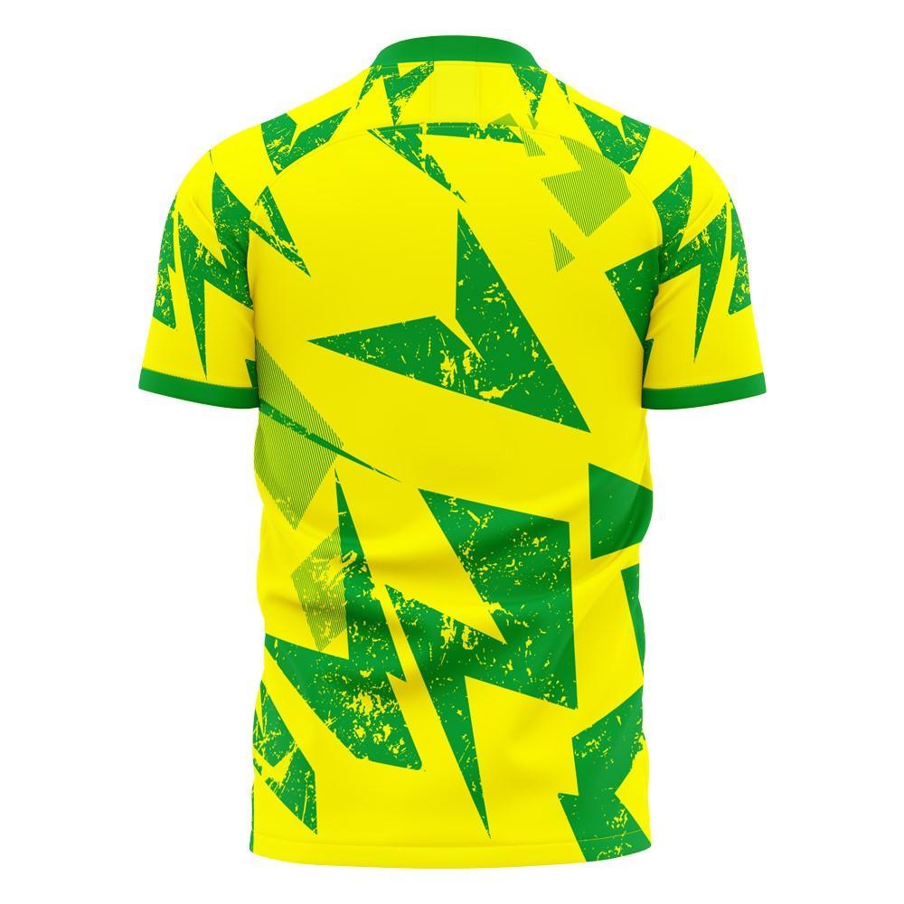 Norwich 2024-2025 Home Concept Football Kit (Libero) (Pukki 22)