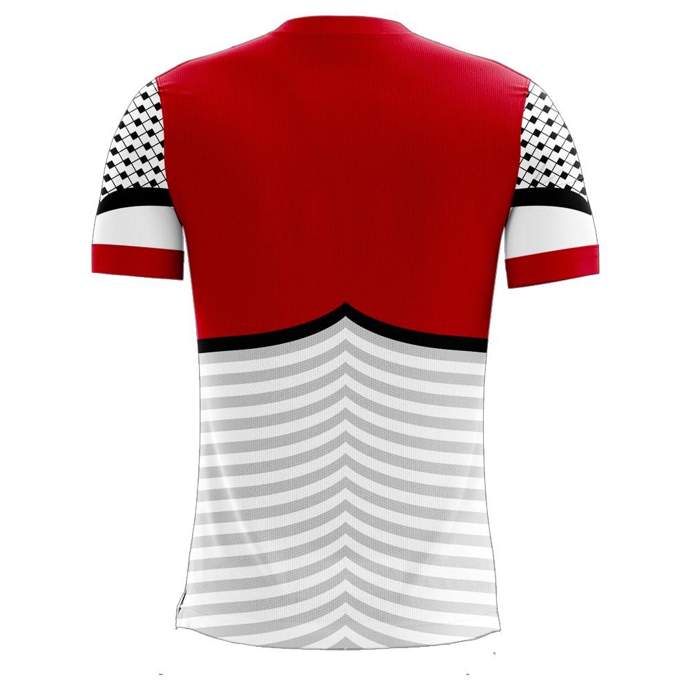 Palestine 2024-2025 Home Concept Football Kit (Libero)