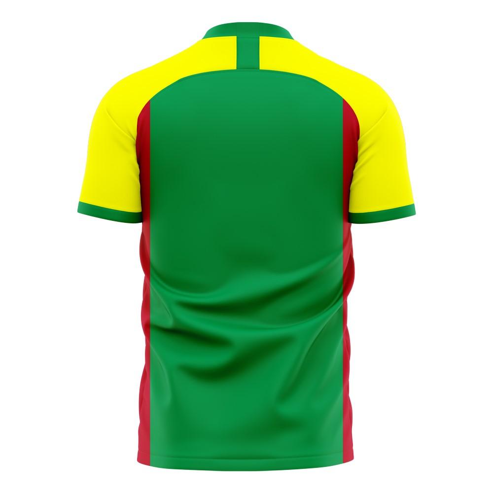 Senegal 2024-2025 Home Concept Football Kit (Libero)