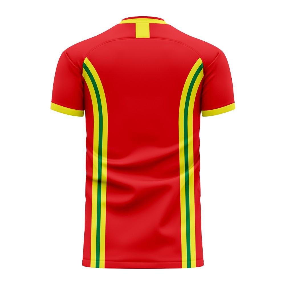 Wales 2024-2025 Home Concept Football Kit (Libero) (RUSH 9)