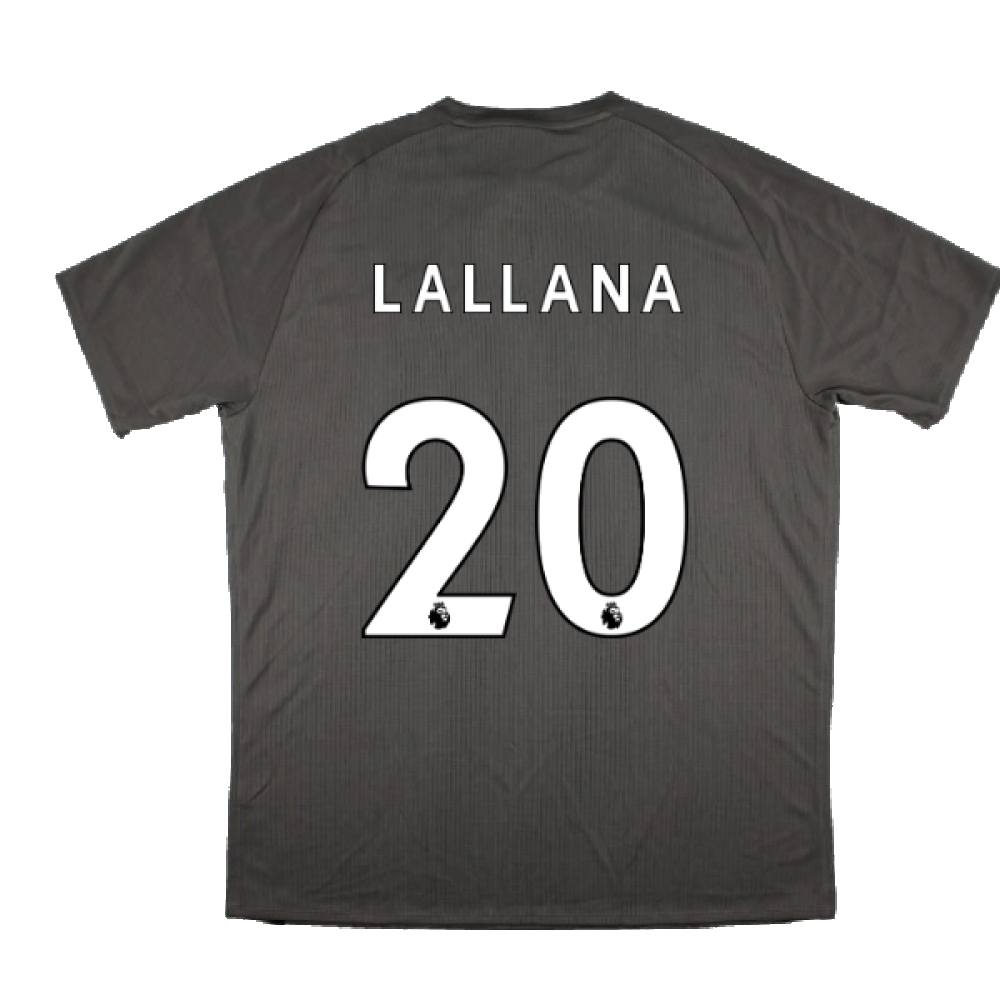 2018-2019 Liverpool Elite Training Jersey (Grey) (Lallana 20)