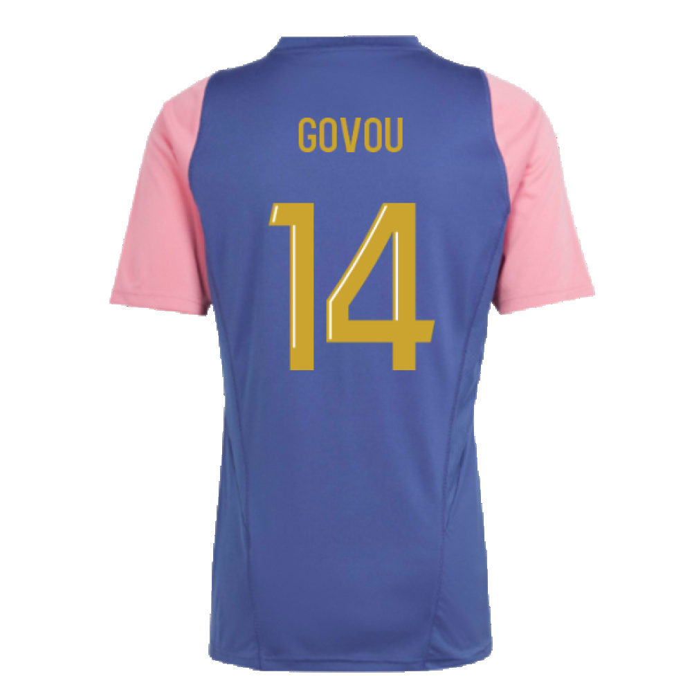 2023-2024 Olympique Lyon Training Jersey (Navy) (Govou 14)