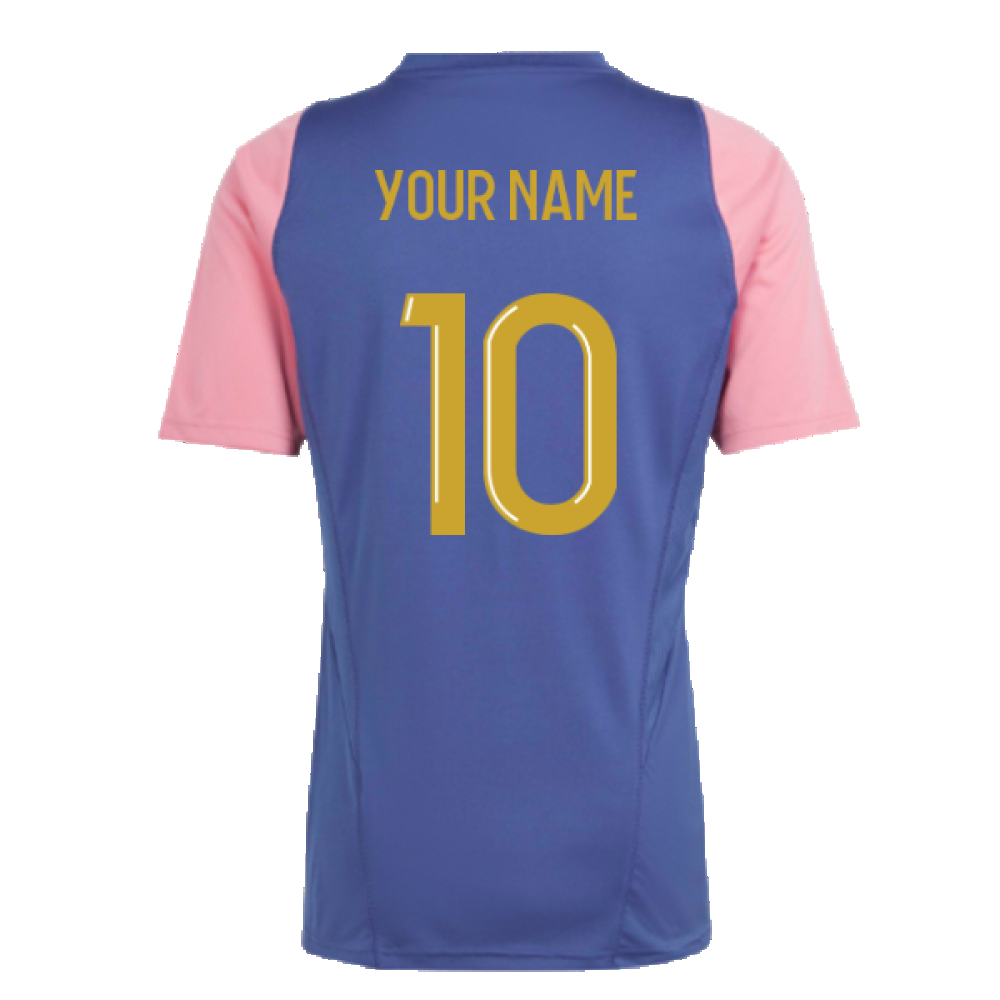 2023-2024 Olympique Lyon Training Jersey (Navy) (Your Name)